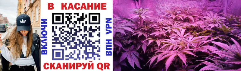 Псилоцибиновые грибы Суровикино