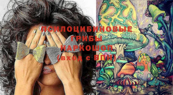 шишки Кукмор