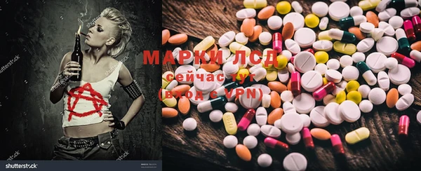 шишки Кукмор