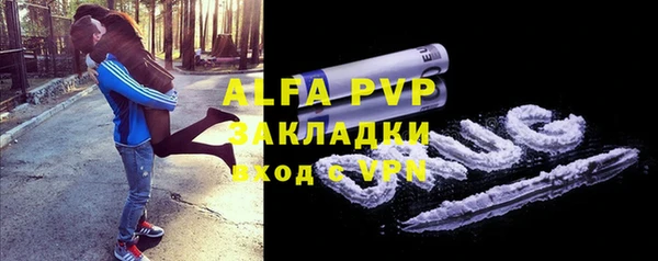 шишки Кукмор