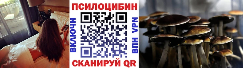 цены наркотик  Суровикино  Псилоцибиновые грибы прущие грибы 